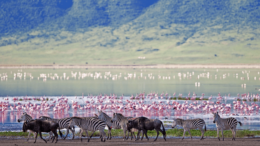 Ngorongoro Crater