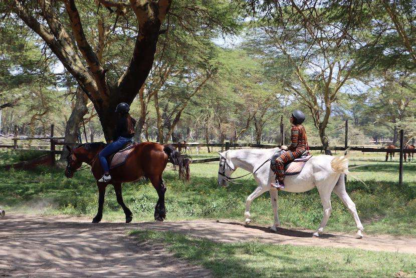 Kenya Itinerary 7 Days - MasaiMaraSafari.in