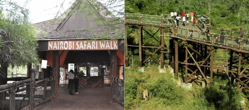 Kenya Safari from Nairobi - Safari Walk