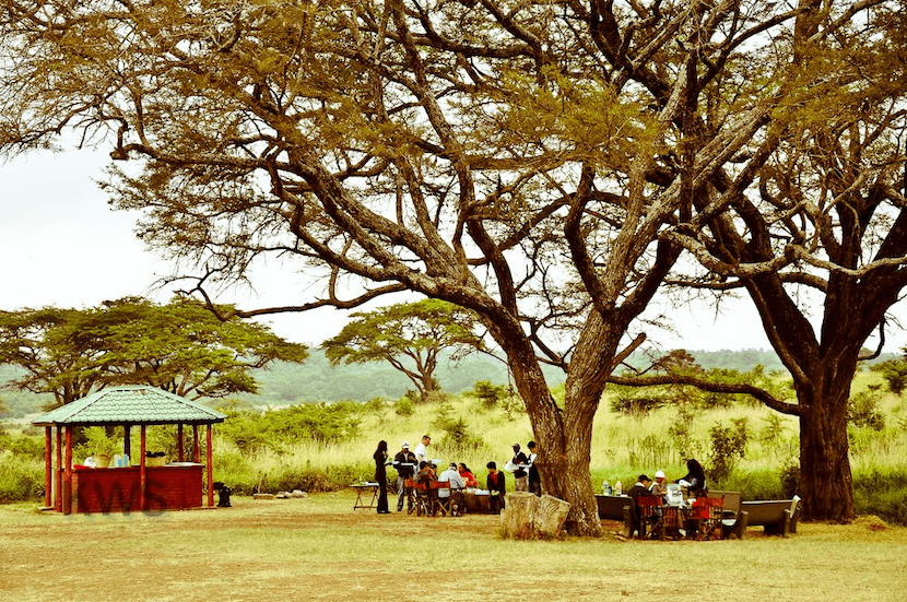 Camping Site in Nairobi