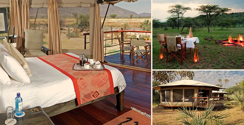 4 Days Masai Mara Safari with a stay at Ashnil Mara Camp