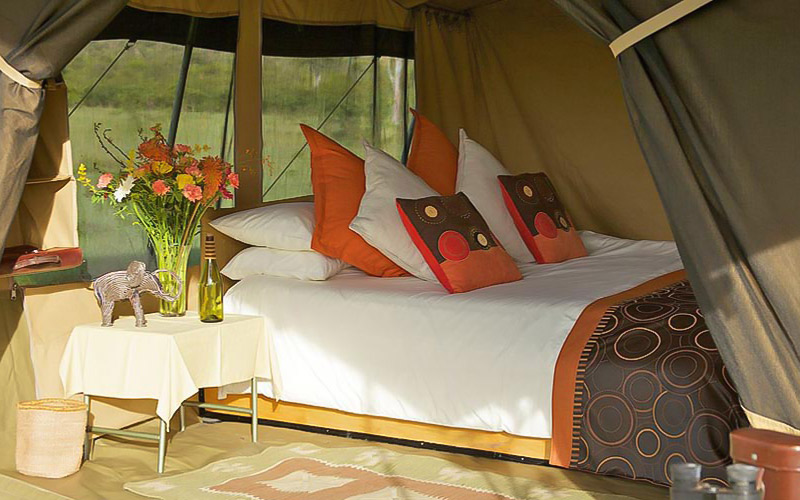 Masai Mara Tour - Hotel
