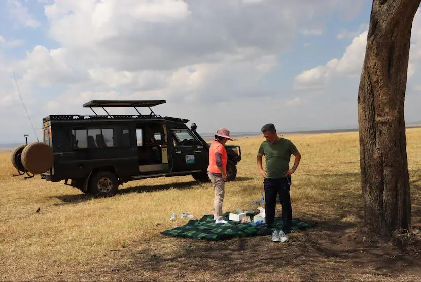 Safari to Masai Mara - picnic lunch