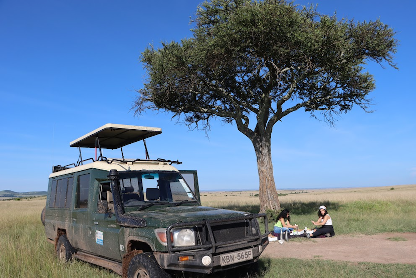 Safari to Masai Mara - picnic lunch