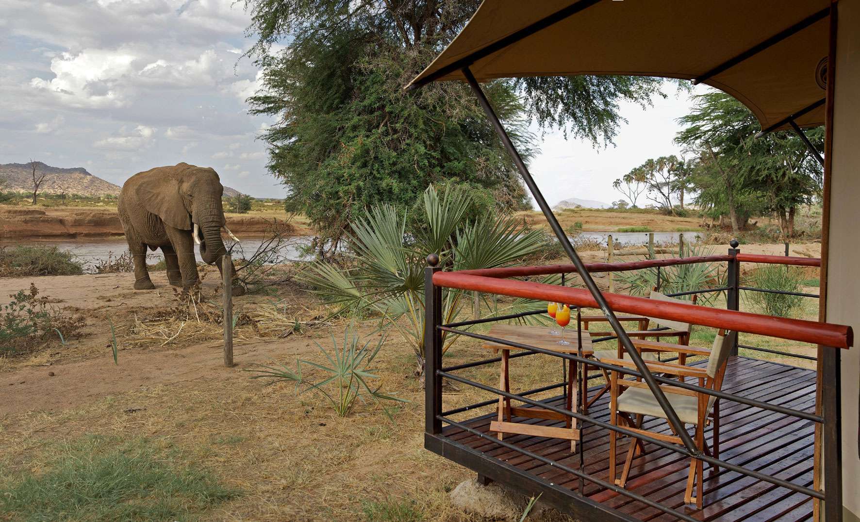 MasaiMaraSafari.in - Best Safari Camps and Lodges in Kenya