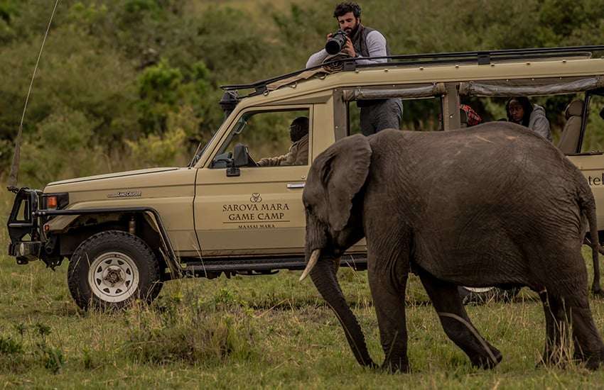 Photography at Sarova Mara - elephant