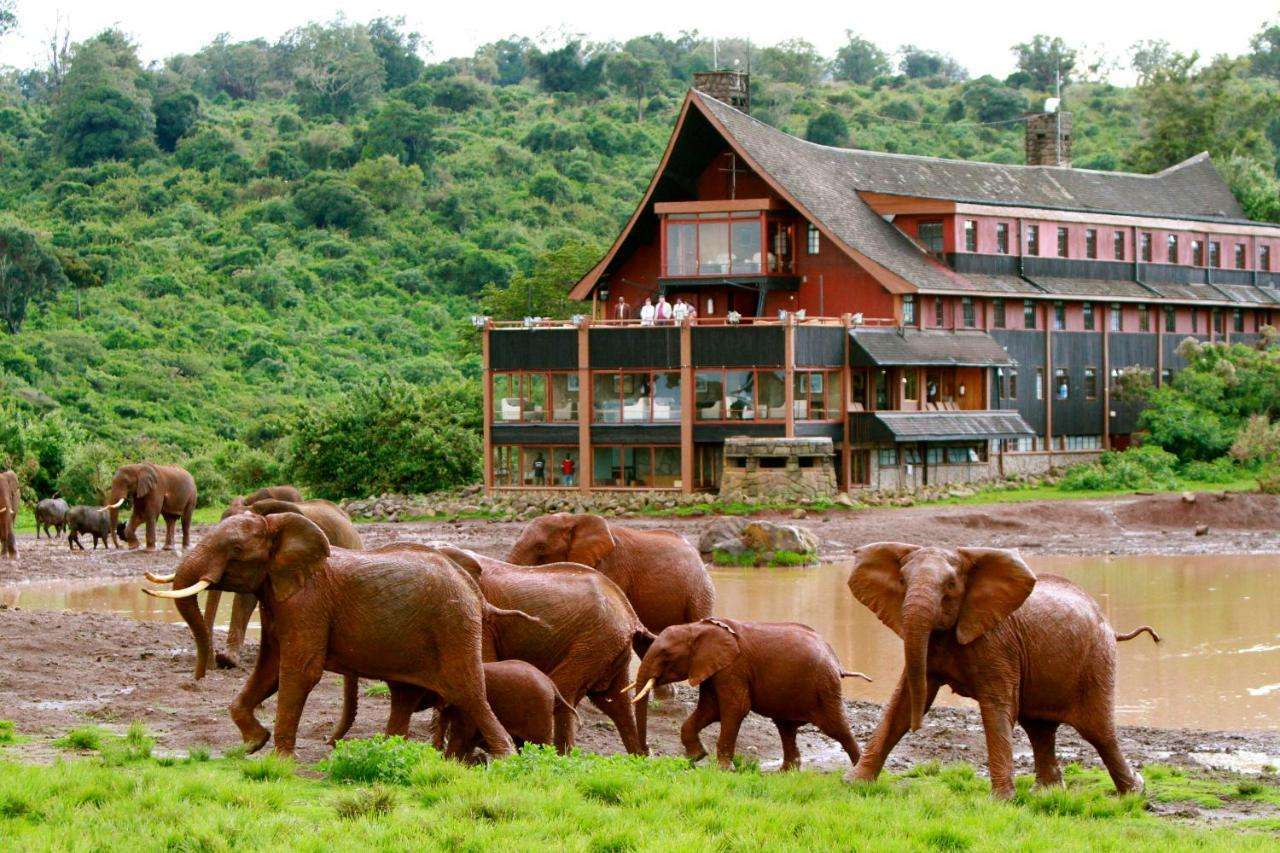 MasaiMaraSafari.in - Best Safari Lodges and Camps in Kenya