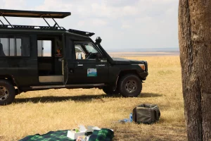 3 days masai mara safari from Nairobi - ajkenyasafaris.com car