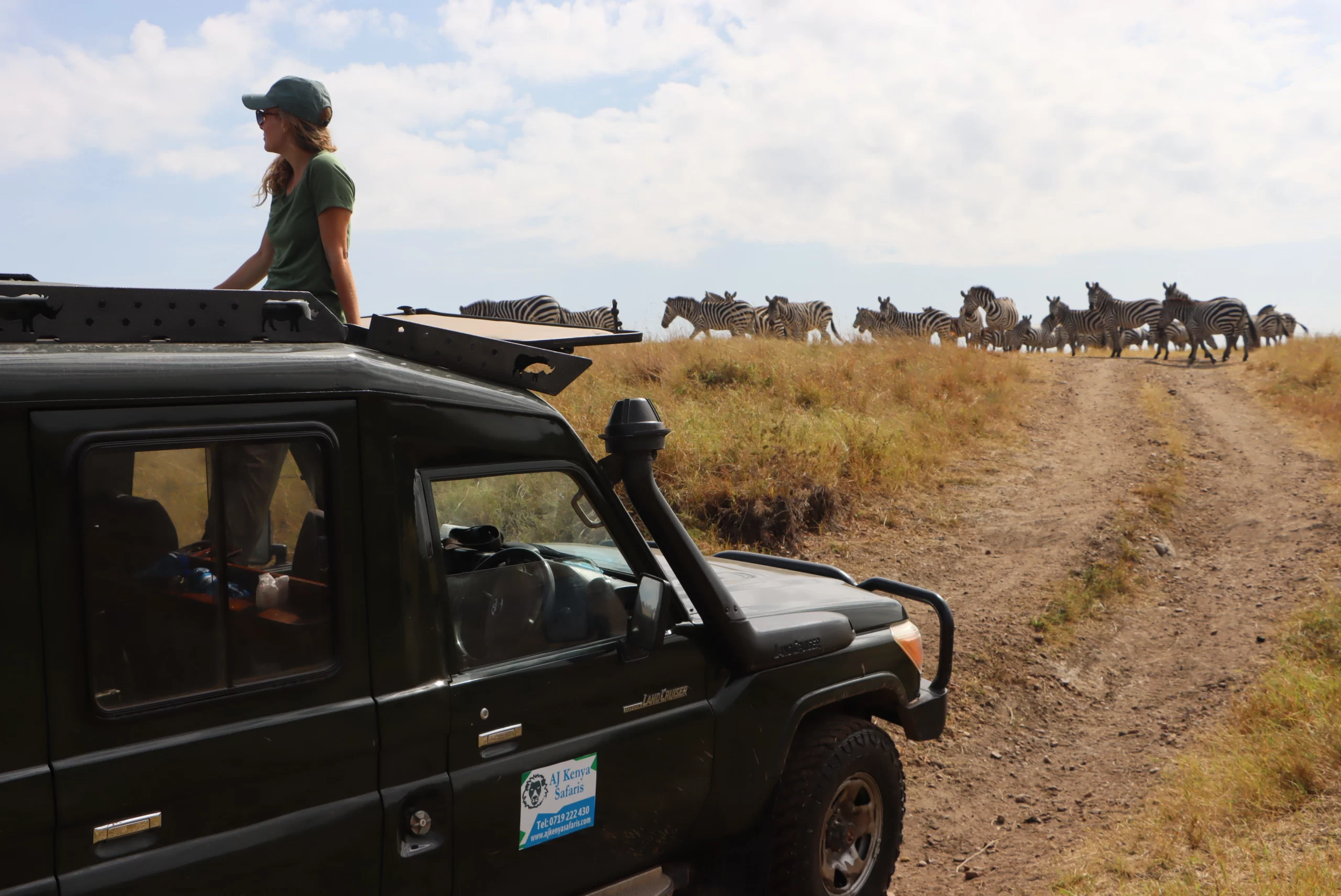 Kenya safari tours - game drives