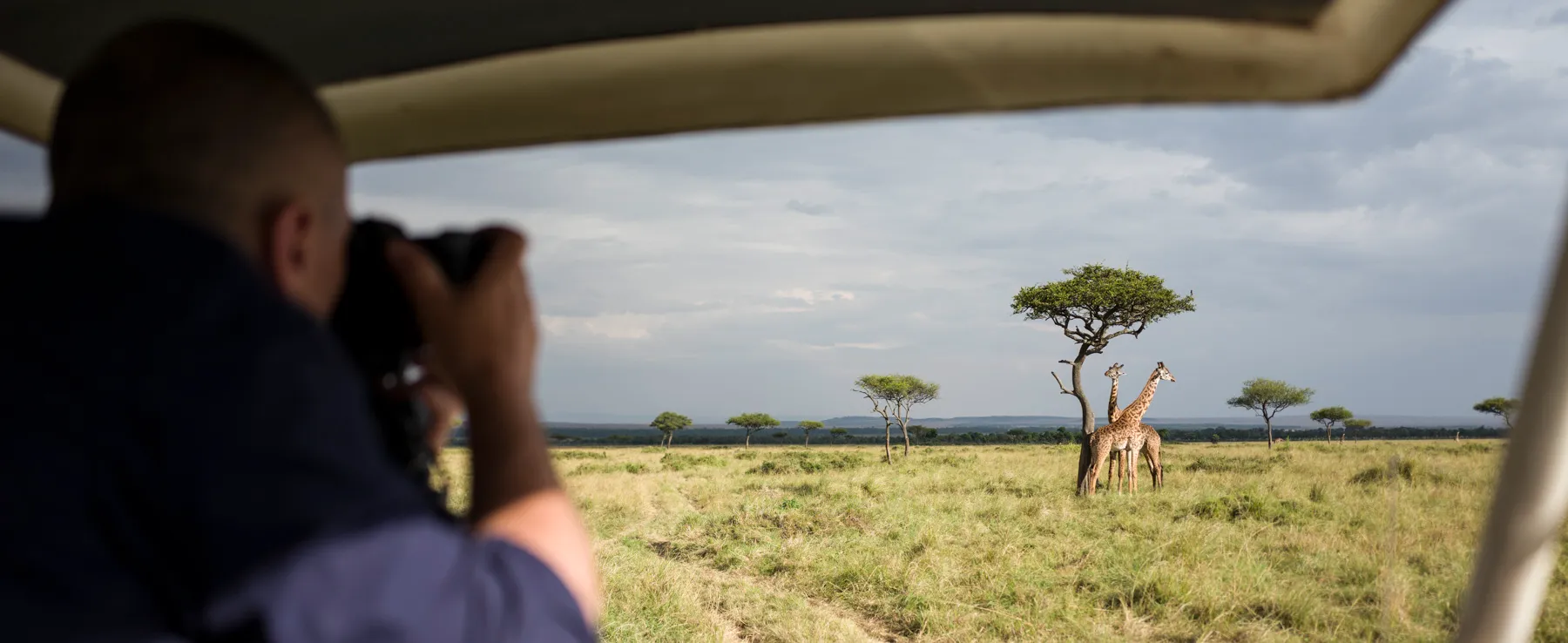 wildlife photography at Mara