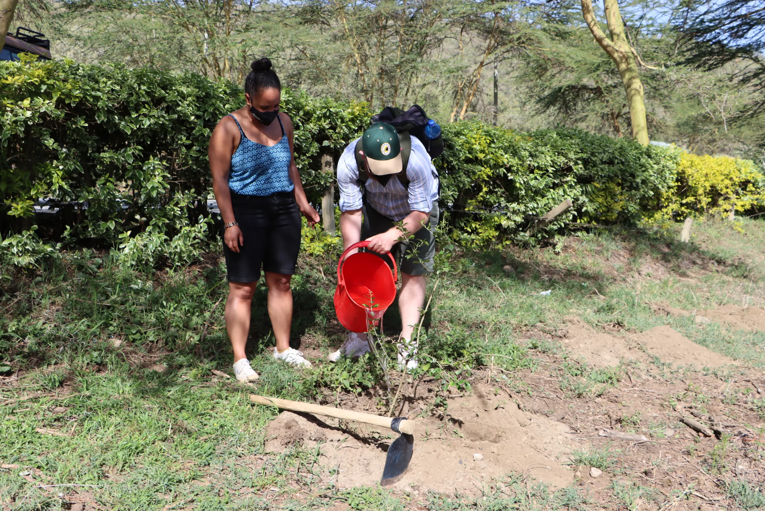 Tree planting at hell’s gate