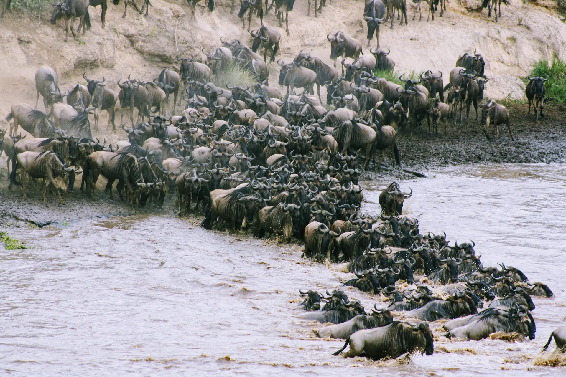 river crossing