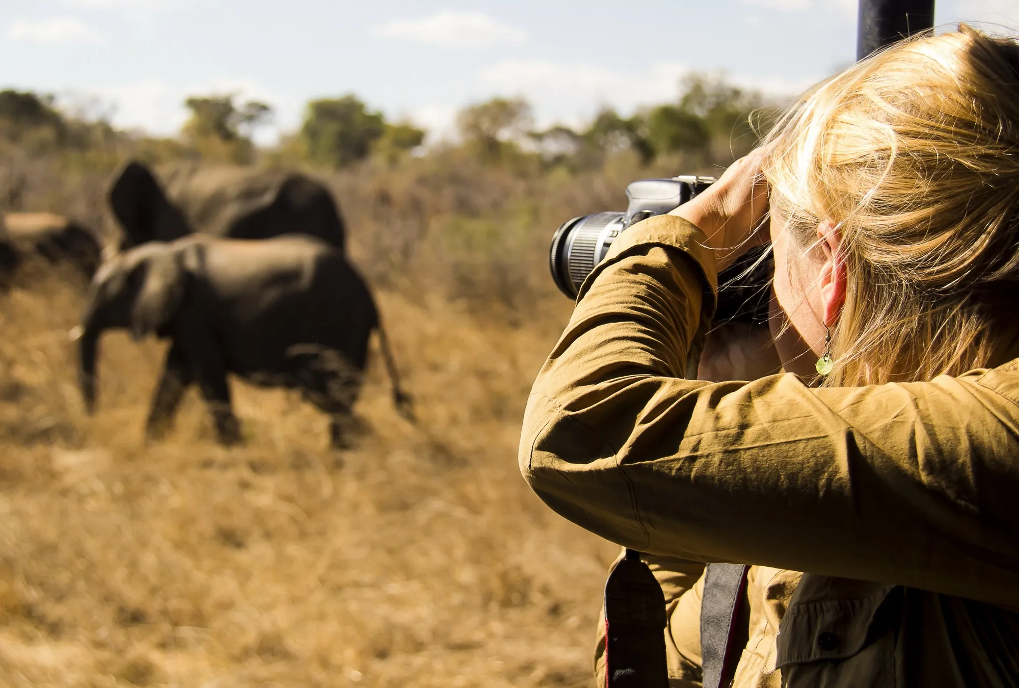 Photo safari in Kenya