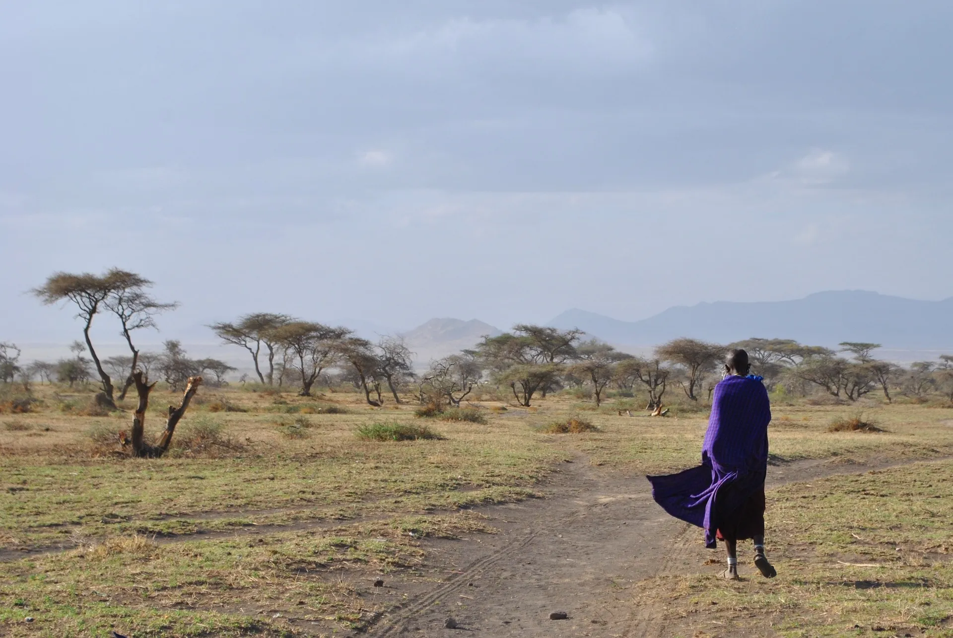 serengeti national park tanzania