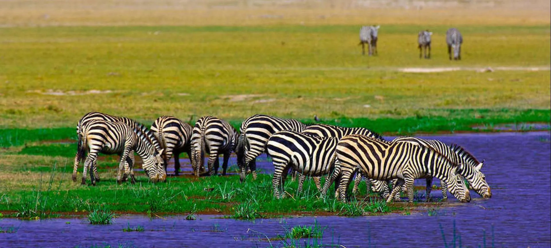 where is amboseli national park located