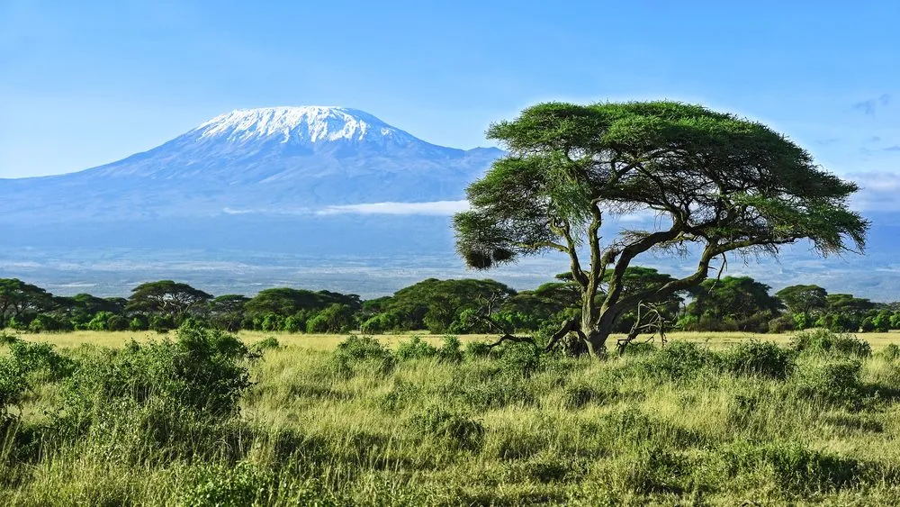 Image of Mt Kilimanjaro
