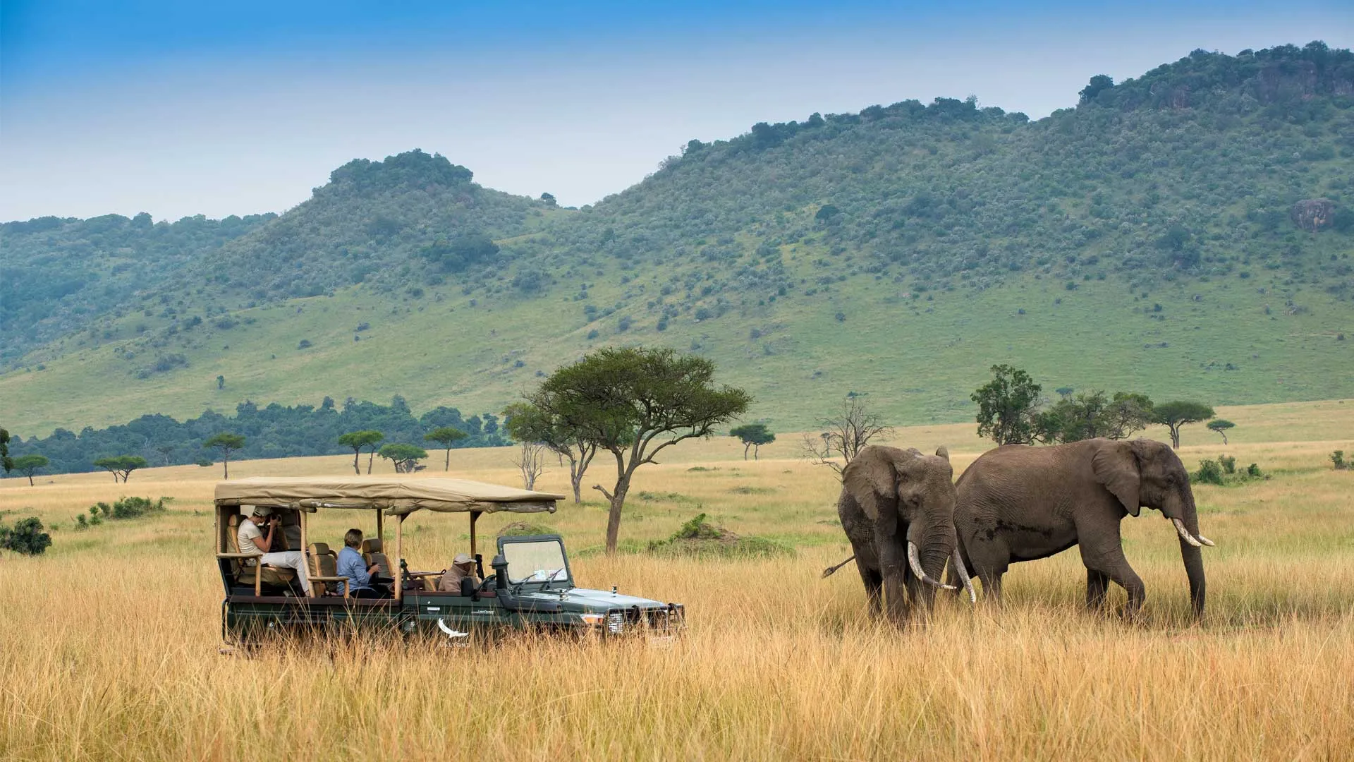 Game drives